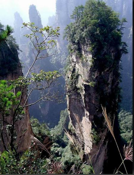長沙出發(fā)到張家界溶洞奇觀黃龍洞、國家森林公園、袁家界、峰林之王天子山三日游（早班）