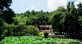 長(zhǎng)沙出發(fā)到花明樓、韶山、張家界國(guó)家森林公園、天門(mén)仙山國(guó)家森林公園四日游